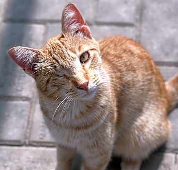 Photo of Stratton