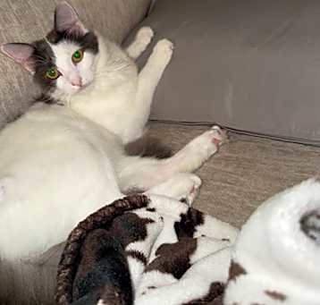 Photo of Percy