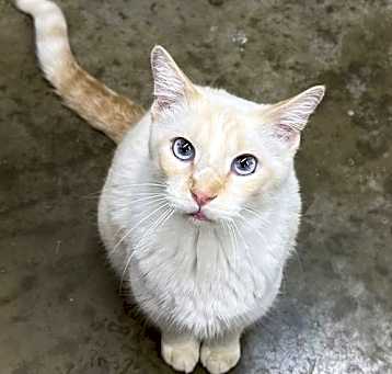 Photo of Little Bitt