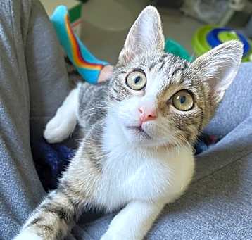 Photo of Edgar