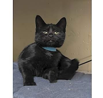 Photo of Nova