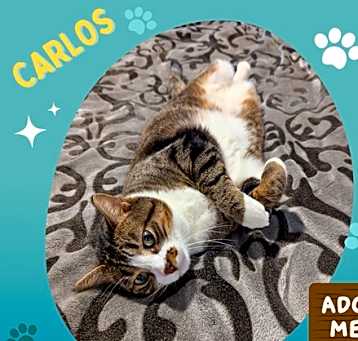 Photo of Carlos