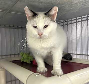 Photo of Francine