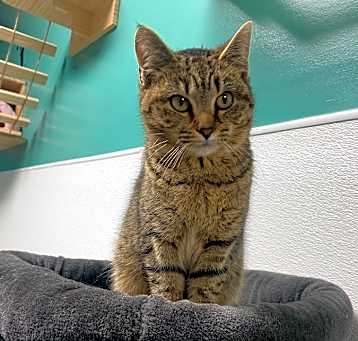 Photo of Sassy