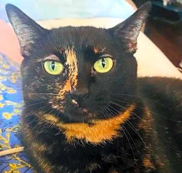 Photo of Estelle