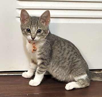 Photo of Pua