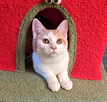 Photo of Brinn