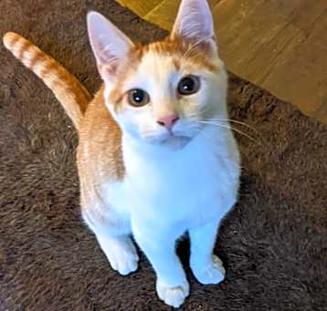 Photo of Monty