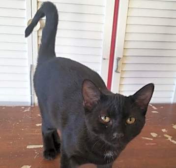 Photo of Lilith