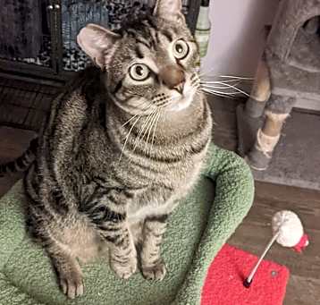 Photo of Handsome Jack