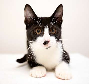 Photo of Charlie