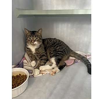 Photo of Trudy