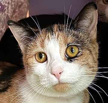 Photo of Gretchen