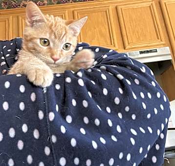 Photo of Olivia