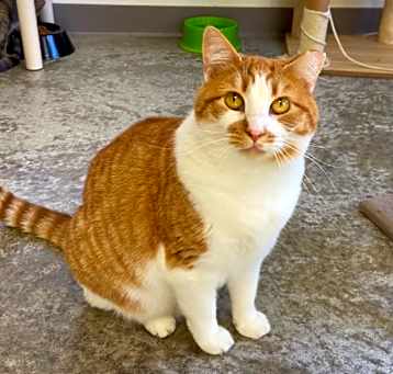 Photo of Bonnie