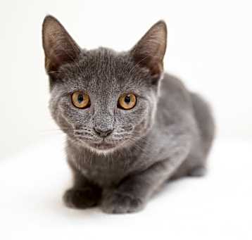 Photo of Cloud