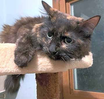 Photo of Zsazsa22