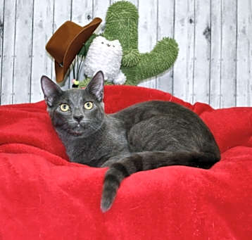 Photo of Sterling