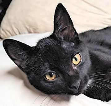 Photo of Peter aka Buddy