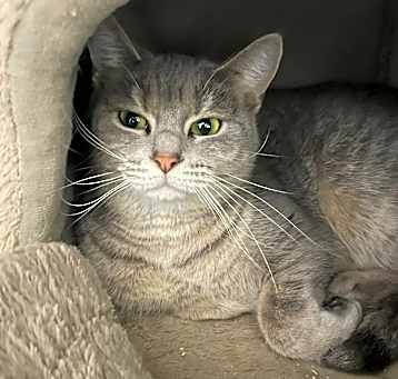 Photo of Starla