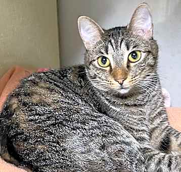 Photo of Oliver