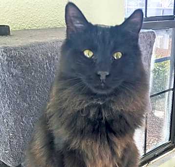 Photo of Barnum