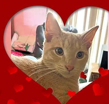 Photo of Dudley