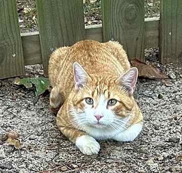 Photo of Buster