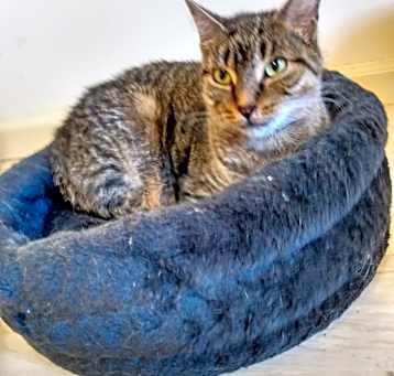 Photo of Jenny
