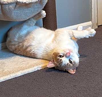 Photo of Klaus
