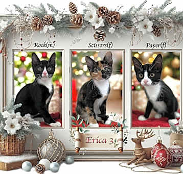 Photo of Erica 3