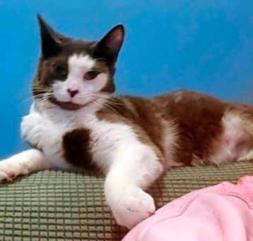 Photo of OLIVE