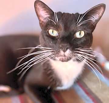 Photo of Lola