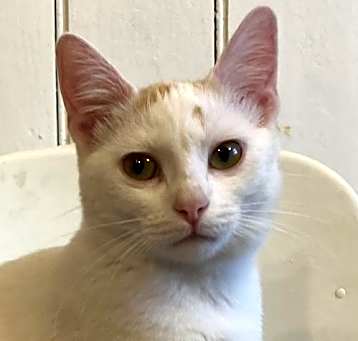 Photo of Mia