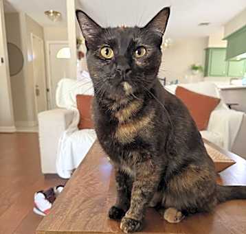 Photo of Loomi