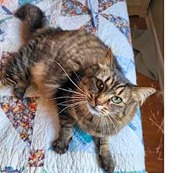 Photo of Ivy