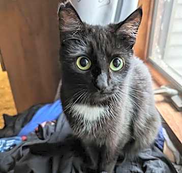 Photo of Hazel