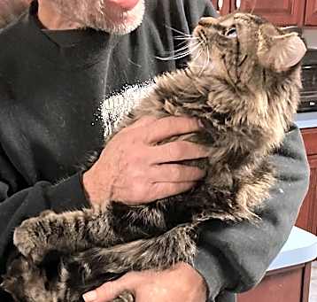 Photo of Scraggles