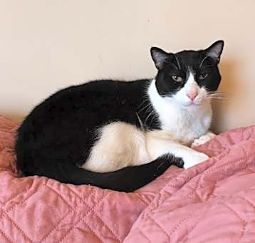 Photo of Mork