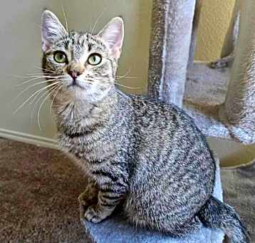 Photo of Wanda