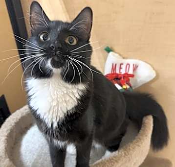 Photo of Buttons
