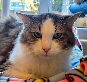 Photo of Reggie