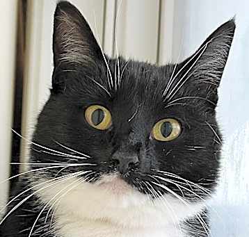 Photo of Junebug