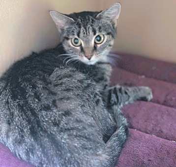 Photo of Twix