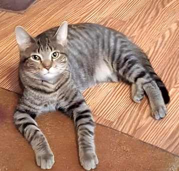 Photo of Charlie