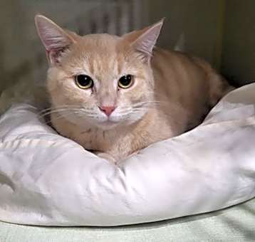 Photo of Albert