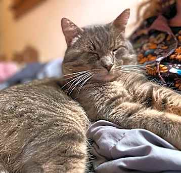 Photo of Oliver
