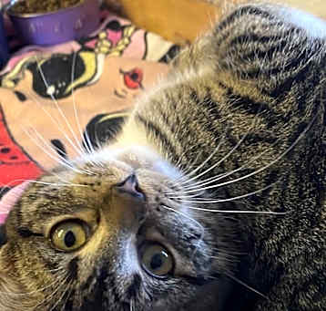 Photo of Tabitha
