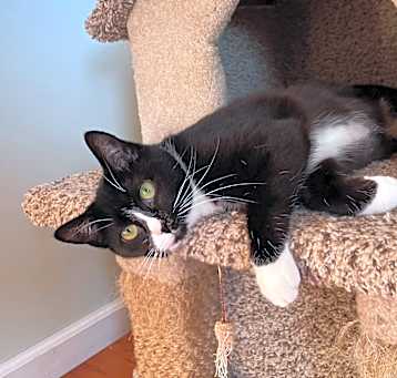 Photo of Juliet
