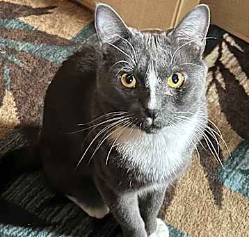 Photo of Buddy